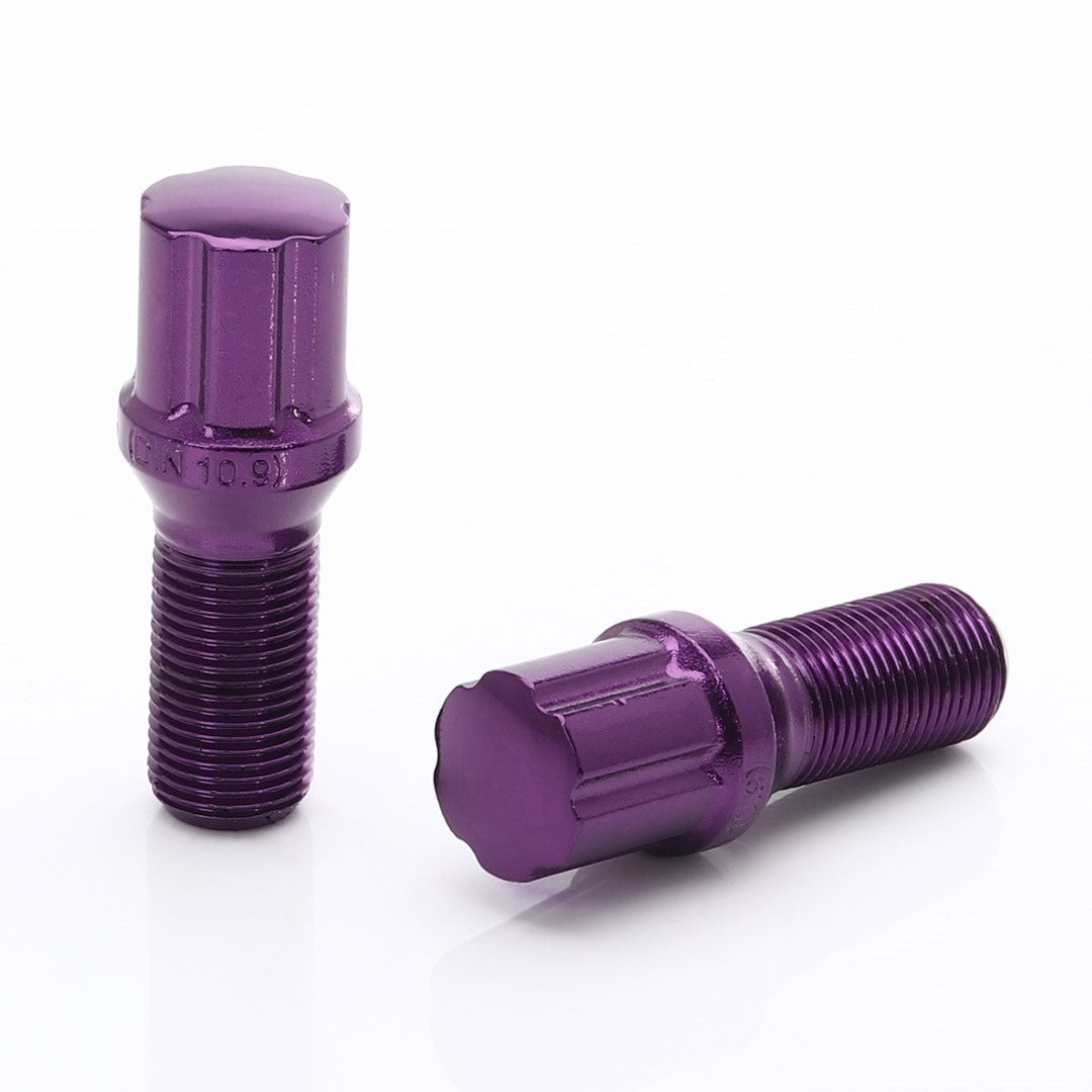 Set 20 Prezoane Purple tip Stea M14x1,5 + Cheie