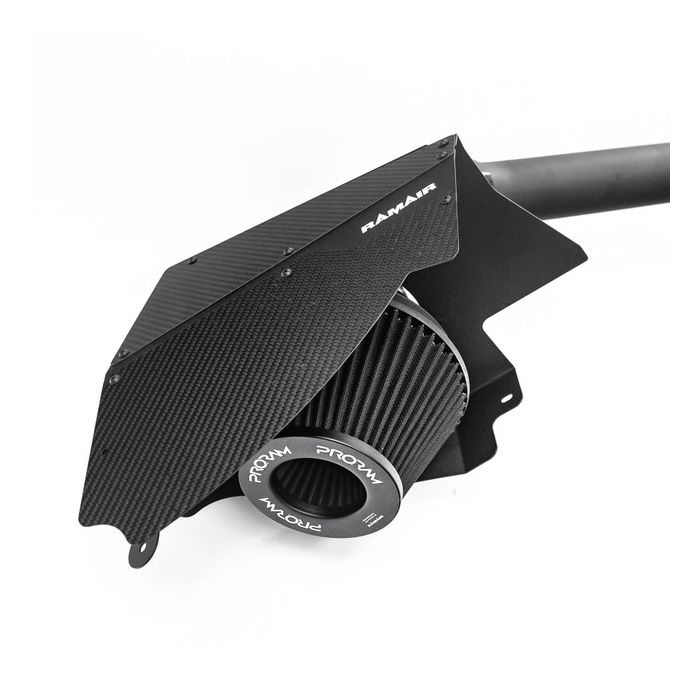 Admisie aer sport PRORAM (carbon)