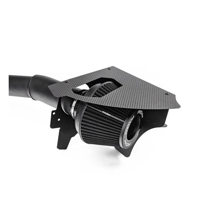 Admisie aer sport PRORAM (carbon)