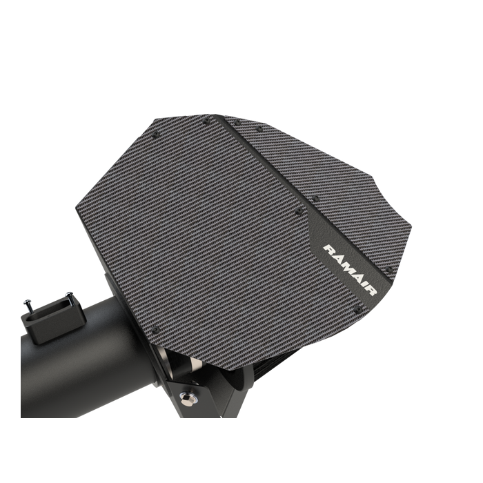 Admisie aer sport PRORAM (carbon)