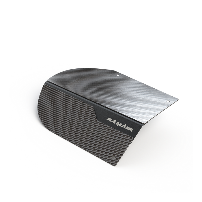 Admisie aer sport PRORAM (carbon)