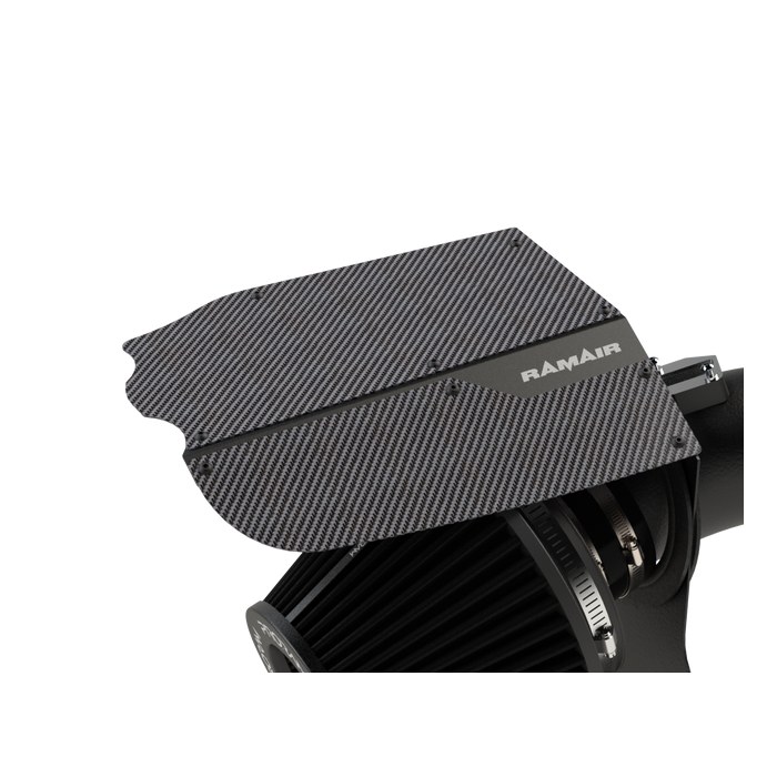 Admisie aer sport PRORAM (carbon)