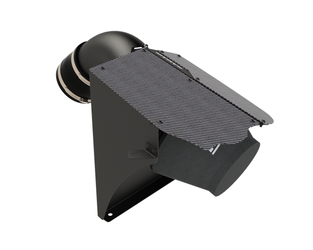 Admisie aer sport RAMAIR (carbon)