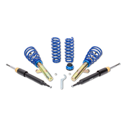 Suspensie sport reglabila AP Coilover