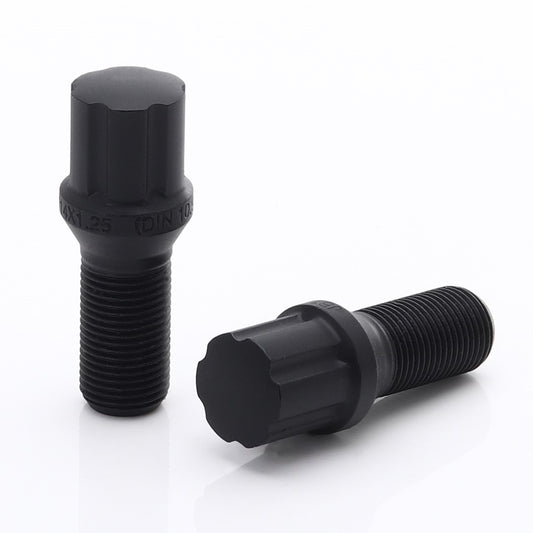 Set 20 Prezoane Negru tip Stea M14x1,25 + Cheie