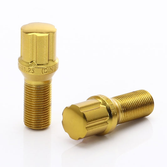 Set 20 Prezoane Gold tip Stea M14x1,25 + Cheie