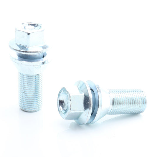 Set 20 Prezoane Silver tip hex M15x1,25