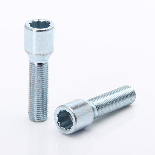 Set 10 Prezoane Silver tip Stea M14x1,5 + Cheie