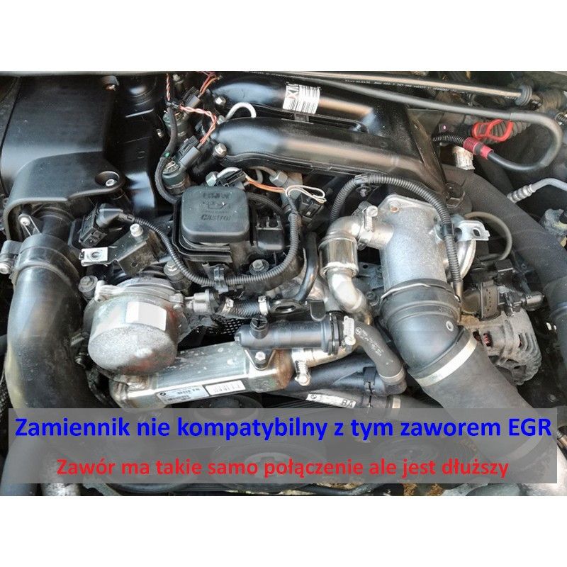 Kit anulare EGR BMW M57N