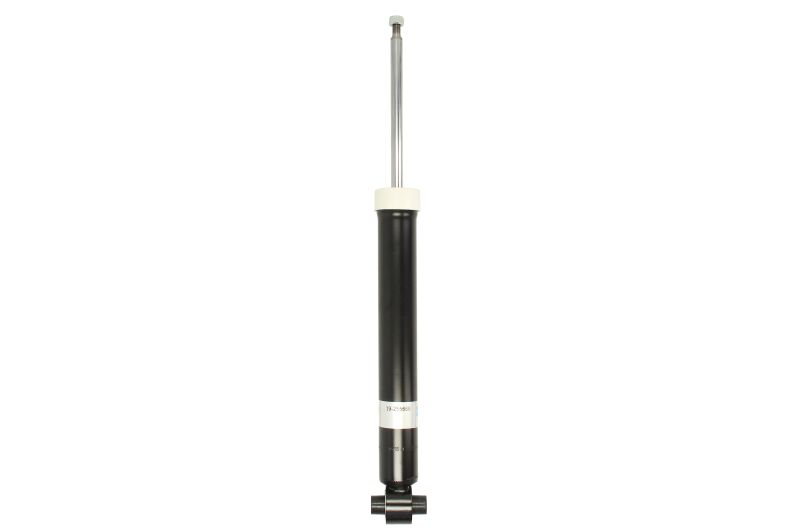 Set amortizoare Spate Standard Bilstein b4