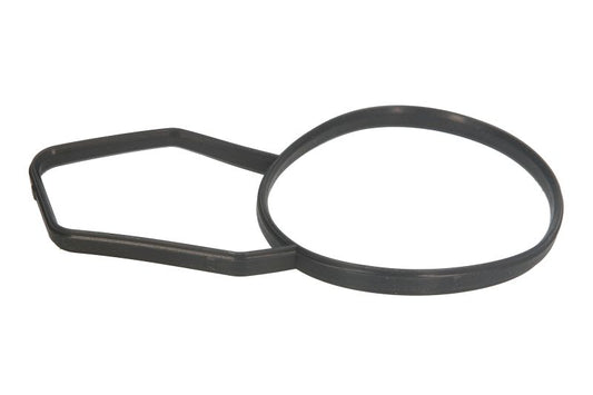 Garnitura termostat Elring EL362150